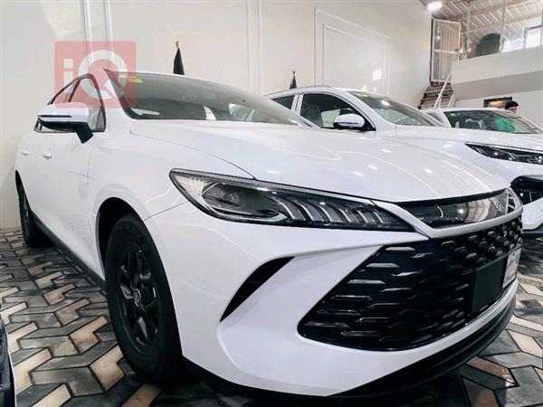 بي واي دي Qin Plus 2025 للبيع في العراق - النجف